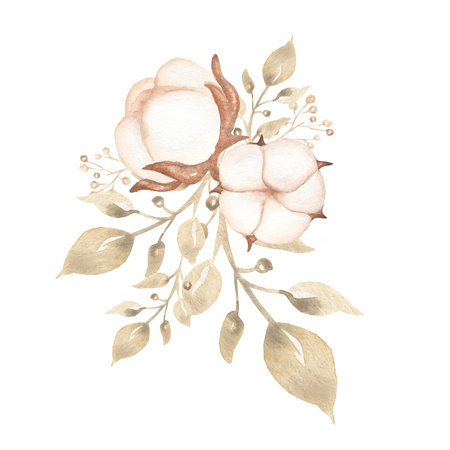 Watercolor hand drawn soft color cotton bouquet  illustration  and branch. Wedding bouquets.の写真素材