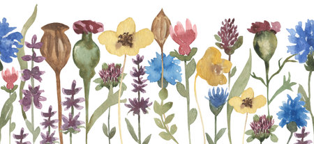 Watercolor wildflowers seamless border, meadow florals illustration, field flowers clipart, rustic repeat border, wedding invitation, card designの写真素材