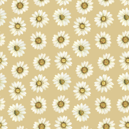 Chamomile Seamless Pattern, Watercolor Vintage Daisy paper, Rustic Meadow Florals for fabric, Wildflowers repeat pattern, printing design, scrapbookingの写真素材