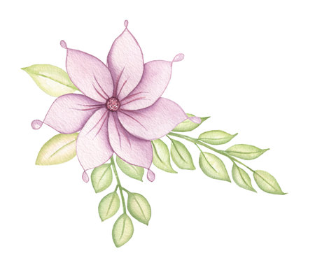 Flowers watercolor illustration. Floral composition. Mother's Day, wedding, birthday, Easter, Valentine's Day. Pastel colors. Spring. Summer bouquet.の写真素材