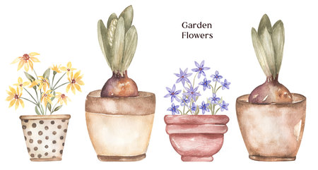 Gardening Clipart, Watercolor vintage garden Plants in the pot illustration, house plants, home flowers set, hello springの写真素材