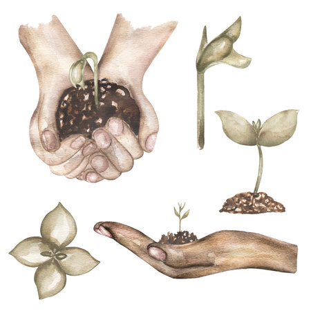 Gardening Clipart, Watercolor vintage Planting time Diy clip art, Plants life cycle, biology clipart, Seeds clipart, Girl hand illustration, Eco farmhouseの写真素材