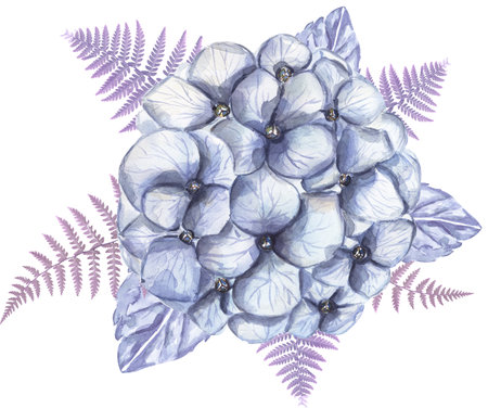 Watercolor blue hydrangea flowers and fern bouquet. garden florals illustrationの写真素材