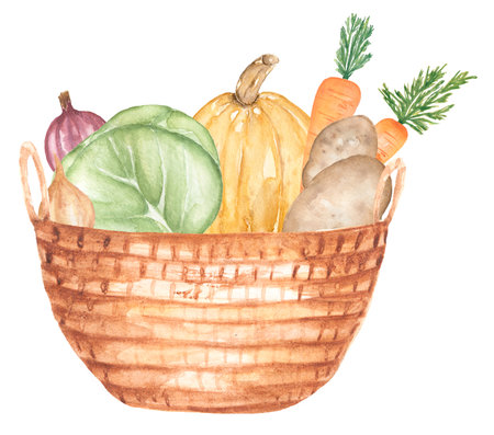 Watercolor vegetables in the wooden box illustration, fresh garden vegetables clipart. garden harvest food clip art, onion, cabbage, carrot, pumpkin and potatoの写真素材