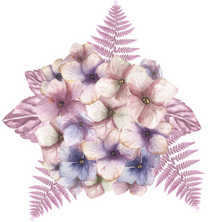 Watercolor blue and dirty pink hydrangea flowers and fern bouquet illustration. garden florals bouquet clipart,  flower compositionの写真素材