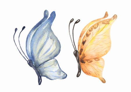 Watercolor butterfly illustration set, insect clipart, mothの写真素材
