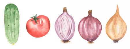 Watercolor hand drawn set of vegetables. Fresh Food illustration. Cucumber clipart, onion, tomato clip art.の写真素材