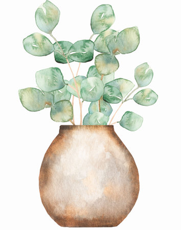 Old style vase with eucalyptus branches. Watercolor vintage hand drawn illustration. Original floristic composition. Perfect for interior textile, kitchen print, scrapbooking paperの写真素材
