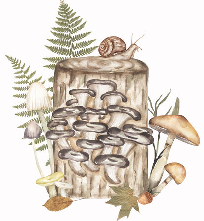 Oyster fungi with other mushrooms and real fern leaves composition, fungus and real autumn leaves illustration. Hand drawn watercolor mushroomの写真素材