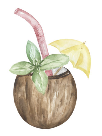 Coconut Cocktail, watercolor hand drawn beverages illustration.の写真素材