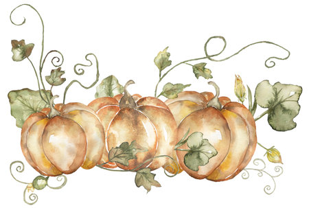 Watercolor harvest scene with pumpkin, flowers and leaves bouquet clipart. Fall decor composition for Thanksgiving, autumn arrangement card, rustic garden illustrationの写真素材