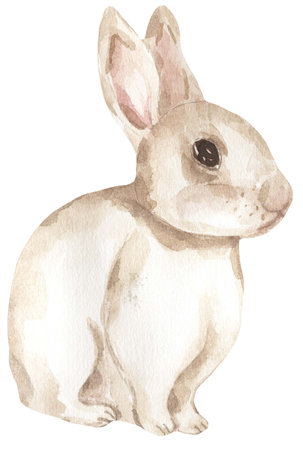 Watercolor white rabbit illustration, hand painted wild animal clipartの写真素材