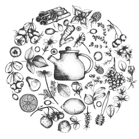 Hand drawn tea herb Illustration. Detailed retro style clipart. Vintage sketch clip art for labels, packaging and cards design. Herbal tea printの写真素材