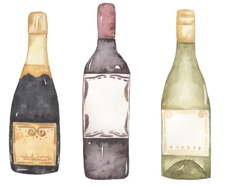 Watercolor beverages bottles clip art, birthday celebration, champagne illustration, drink clipart, food element print, wedding invitation, card design, party objects, logo, menuの写真素材