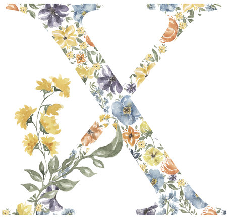 Wildflowers X letter clipart, Blossom Alphabet Design. Watercolor Floral monogram illustration isolated on white background.の写真素材