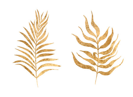 Botanical silhouette of golden leaves isolated on white background. Fine art florals illustration set, elegant delicate graphic clipart for wedding invitation card. Greenery, palm leavesの写真素材