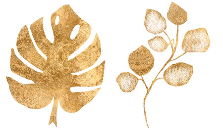 Botanical silhouette of golden leaves isolated on white background. Fine art florals illustration set, elegant delicate graphic clipart for wedding invitation card. Monstera leafの写真素材