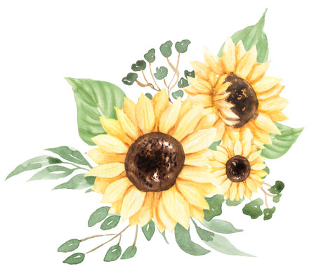 Sunflowers bouquet Clipart, Watercolor Meadow flowers print, Rustic wildflowers Bouquet illustration, Wedding Invites, Baby shower, Logoの写真素材