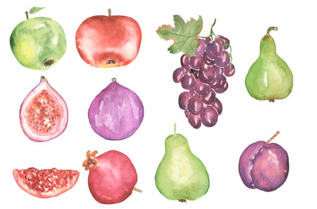Watercolor fruits illustration set, hand drawn grapes and garden fruits repeat paper, pear, plum, apple and pomegranate print, eco food elements.の写真素材