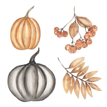 Watercolor hand drawn Halloween black pumpkin and florals clipart set, beige leaves branch and berries illustration, autumn harvest timeの写真素材