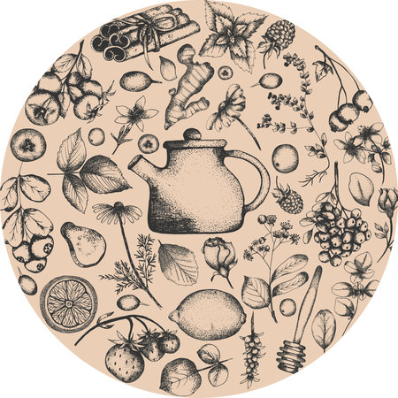Hand drawn tea herb Illustration. Detailed retro style clipart. Vintage sketch clip art for labels, packaging and cards design. Herbal tea printの写真素材