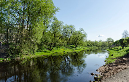 River with reflection of tree. Blue sky