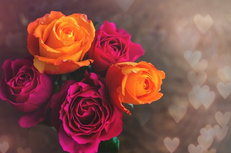 Pink and purple roses with hearts background. Valentine's day concept. Soft selective focus.の写真素材