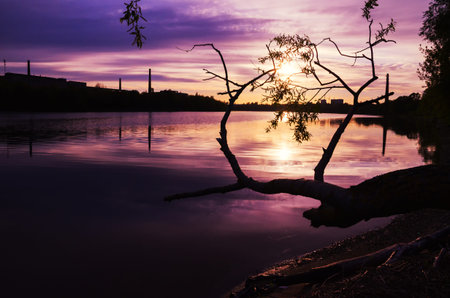 Beautiful sky at twilight times on the river. Beautiful reflection.の写真素材