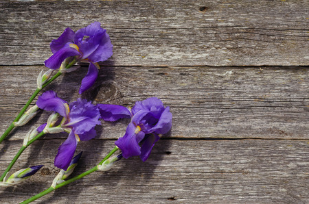 Irises on wooden background. Bouquet of purple irises with a copy of space. The view from the top. spring flowers. may flowerの写真素材