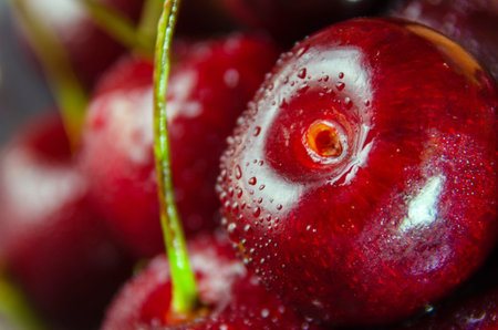Close up of fresh cherry berries with water drops.