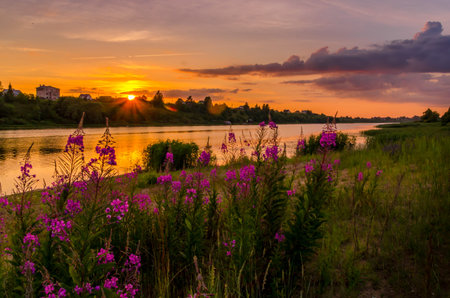 Beautiful sunset over the river. Relaxation and meditation concept. Landscape.