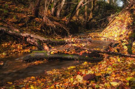 Waterfall green forest river stream landscape. Nature.の写真素材