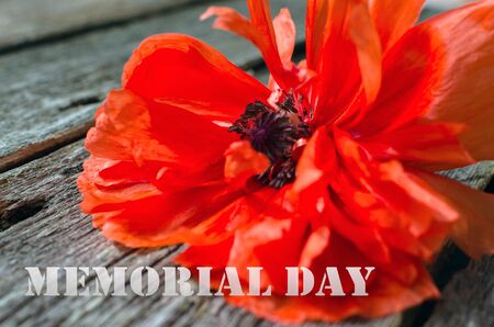 National american holiday Memorial Day text on wooden background with red poppy flower.の写真素材