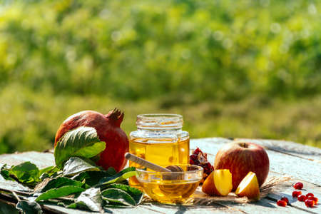 Apple and honey and pomegranate, traditional food of jewish New Year - Rosh Hashana.の写真素材