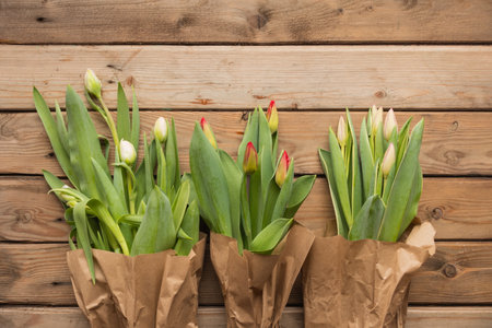 Row of tulips against a woden backgrund with space for the text.の写真素材