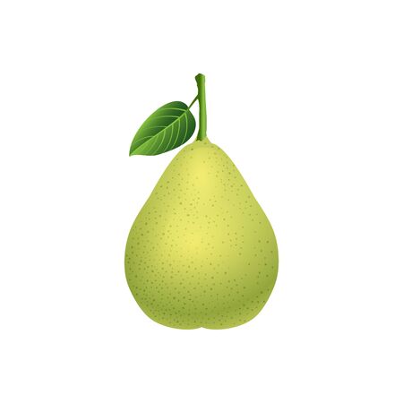 fresh pear with gree leafのイラスト素材