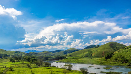 Beauty In Nature Summer Landscape. Aerial View In Rio de Janeiro District. Rainforest Mountains,...