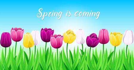 Pattern Of Spring Multi-Color Tulips With Green Leaves On Bright Blue Background. Seamless Row Of Vector Colorful Flowers For Festive Or Advertising Billboard Design. Greeting Card For Spring Mood.のイラスト素材