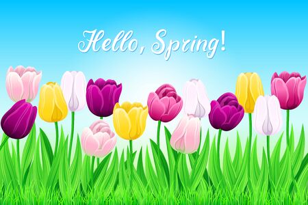 Pattern Of Spring Multi-Color Tulips And Green Grass On Bright Blue Background. Flowerbed With Vector Blooming Flowers For Festive Or Advertising Billboard Design. Greeting Card For Spring Mood.のイラスト素材
