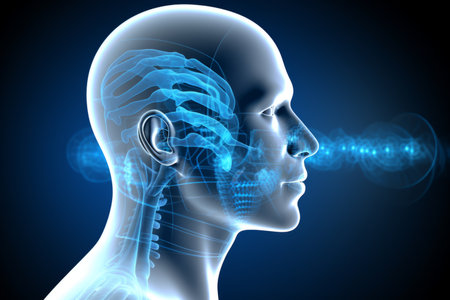 Human brain neon x-ray pain illuminated psychoanalysis scanning science mental mind radiology medicine technology three dimensional dementia memory bipolar energy artificial intelligence neuron powerの素材
