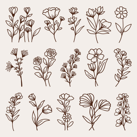 plant hand drawn vector setのイラスト素材