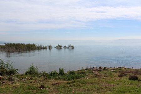 Early morning on a lake. Calm water, beautiful sky. Tranquil nature background.