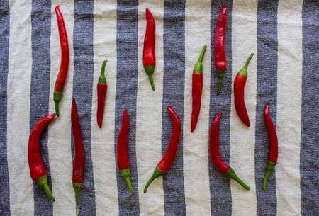 Red chili peppers on striped towel. Fresh vegetables top view photo. Cayenne pepper texture close...