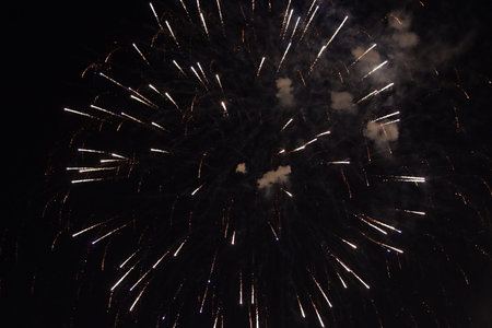 fireworks in the night sky, beautiful holiday fireworks in the night sky