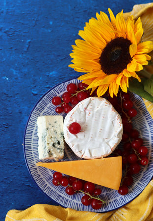 Cheese plate with camembert, blue cheese, red currant and sunflower on blue backgroundの写真素材