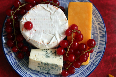 Cheese plate with red currant and blue cheese on red backgroundの写真素材