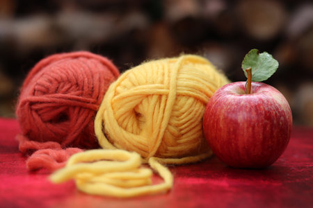 Balls of woolen yarn and an apple on a red backgroundの写真素材