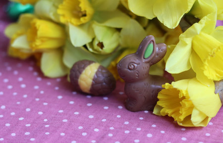 Easter chocolate bunny and daffodils on a pink backgroundの写真素材