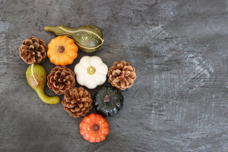 Top view of colorful decorative pumpkins with pine cones on grey backgroundの写真素材
