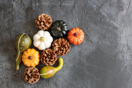 Autumn still life with pumpkins and pine cones on dark backgroundの写真素材
